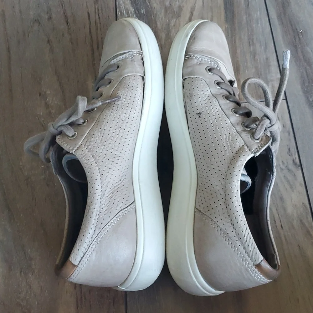 Ecco good s4